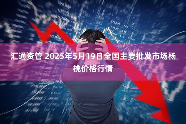 汇通资管 2025年5月19日全国主要批发市场杨桃价格行情
