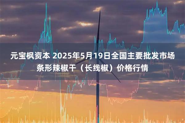 元宝枫资本 2025年5月19日全国主要批发市场条形辣椒干（长线椒）价格行情
