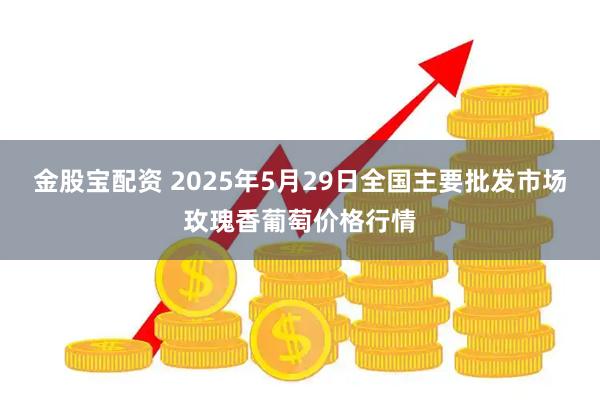 金股宝配资 2025年5月29日全国主要批发市场玫瑰香葡萄价格行情
