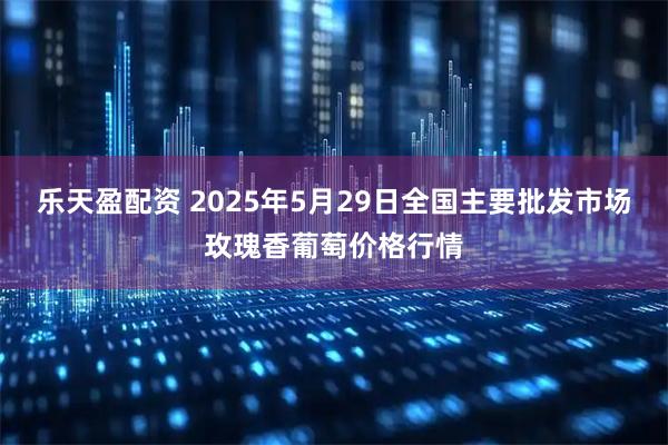 乐天盈配资 2025年5月29日全国主要批发市场玫瑰香葡萄价格行情