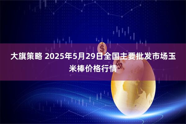 大旗策略 2025年5月29日全国主要批发市场玉米棒价格行情