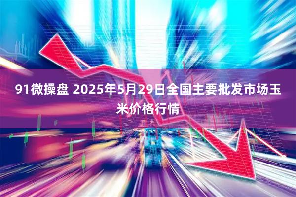 91微操盘 2025年5月29日全国主要批发市场玉米价格行情