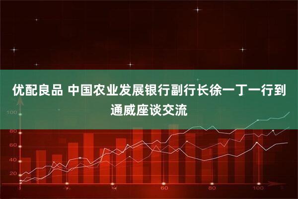 优配良品 中国农业发展银行副行长徐一丁一行到通威座谈交流