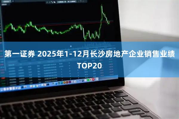 第一证券 2025年1-12月长沙房地产企业销售业绩TOP20
