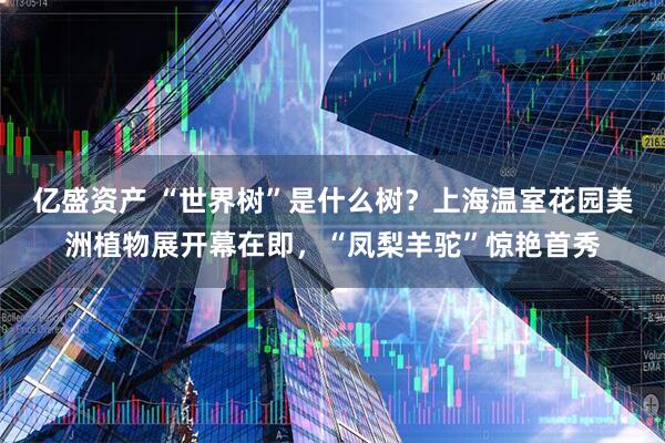 亿盛资产 “世界树”是什么树?上海温室花园美洲植物展开幕在即,“凤梨羊驼”惊艳首秀