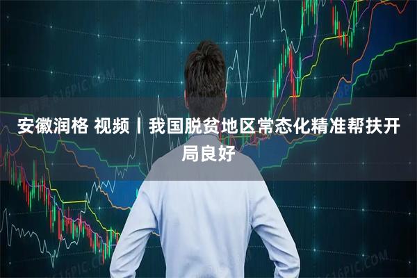 安徽润格 视频丨我国脱贫地区常态化精准帮扶开局良好
